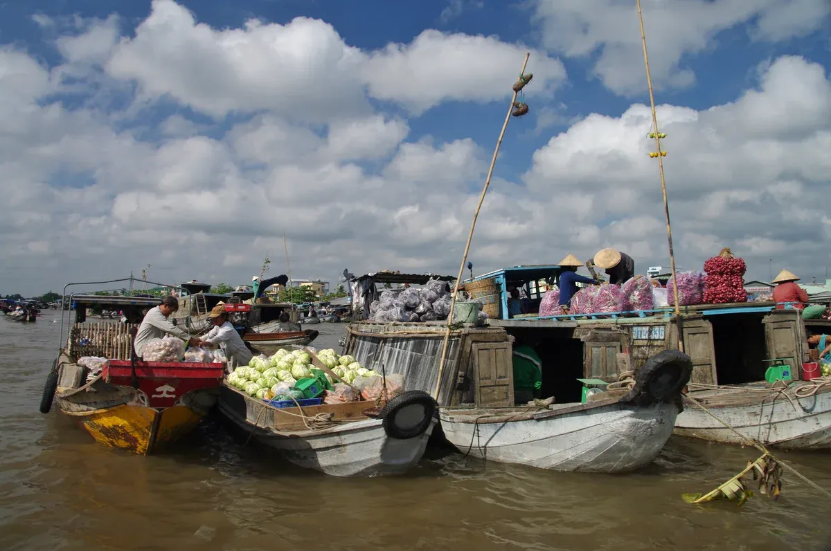 Produce boats at the Cai Rang floating market near Can Tho on a Mekong Delta Vietnam tour package