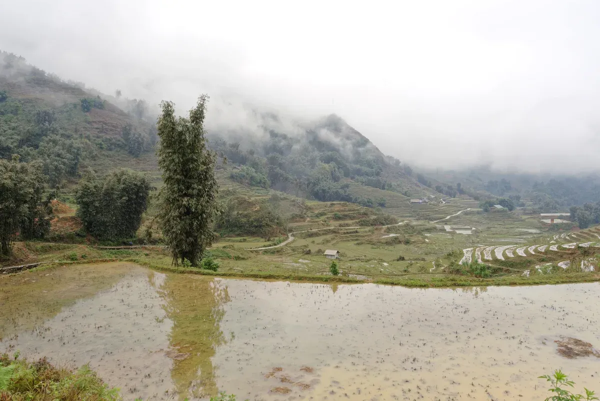 Paddy fields in Cat Cat village near Sapa on a 14 day Vietnam tour