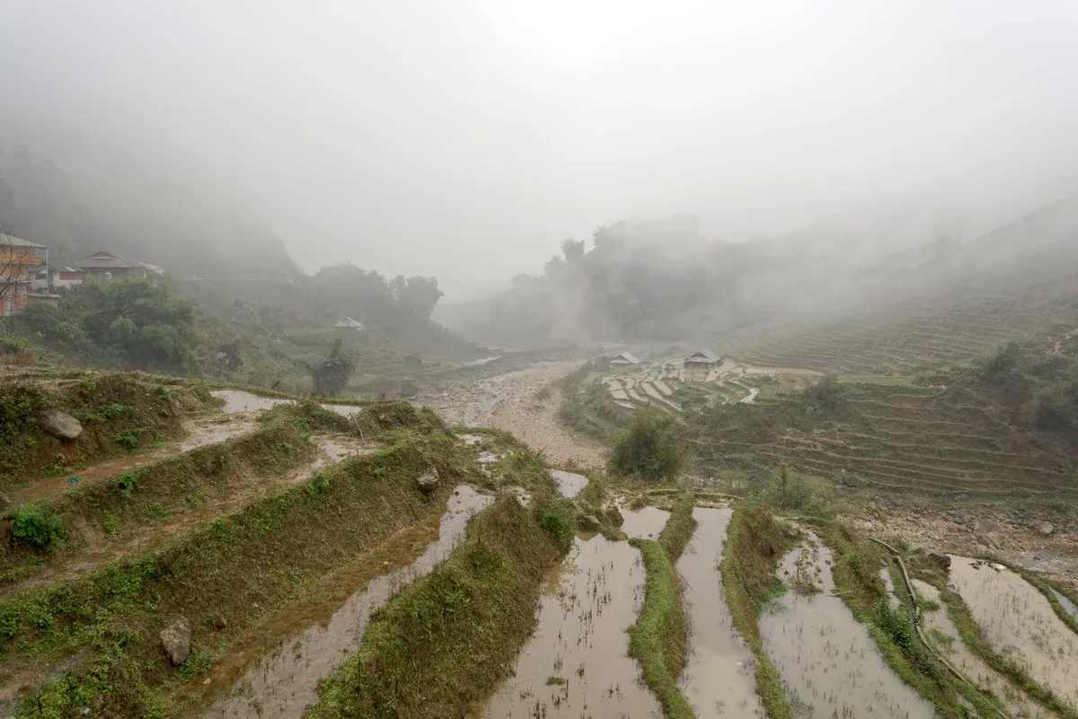 Rice paddies in the valleys below Sa Pa on a Vietnam tour package